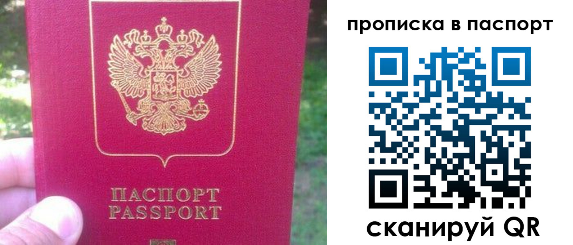 временная регистрация для всех в Щиграх